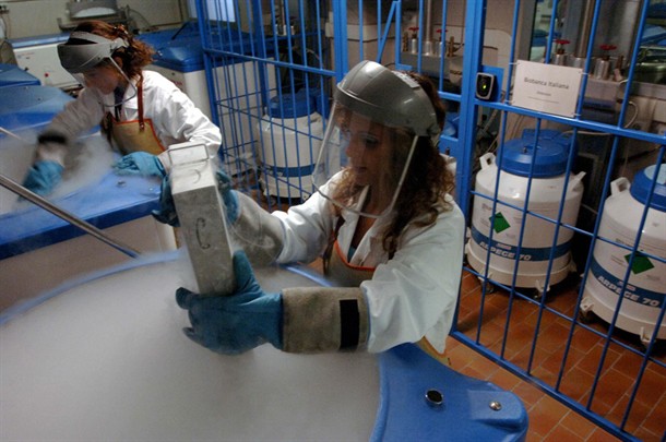 cellule staminali.jpg